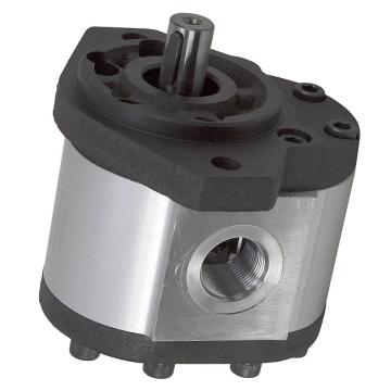 Komatsu 201-60-58101 Hydraulic Final Drive Motor
